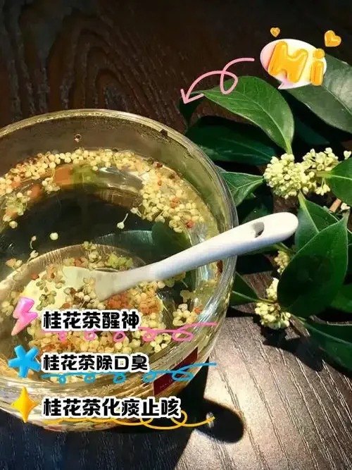 自制桂花泡酒材料与成品展示：玻璃罐中金黄的桂花在清澈酒液中悬浮，旁边是新鲜桂花、基酒和冰糖。_1
