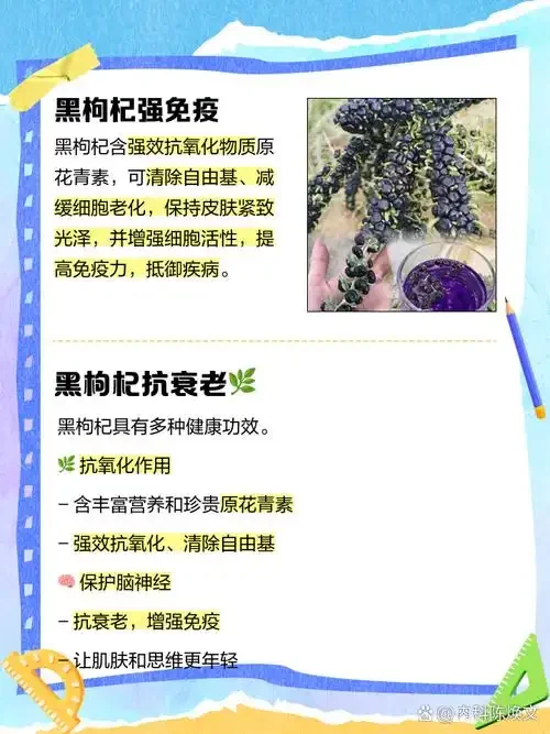 家庭自制黑枸杞泡酒过程特写：玻璃瓶中酒色深红，黑枸杞清晰可见_1