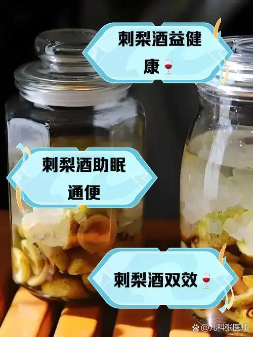 玻璃罐中正在浸泡的刺梨枸杞酒，旁边散落着新鲜的刺梨、枸杞和冰糖原料_1