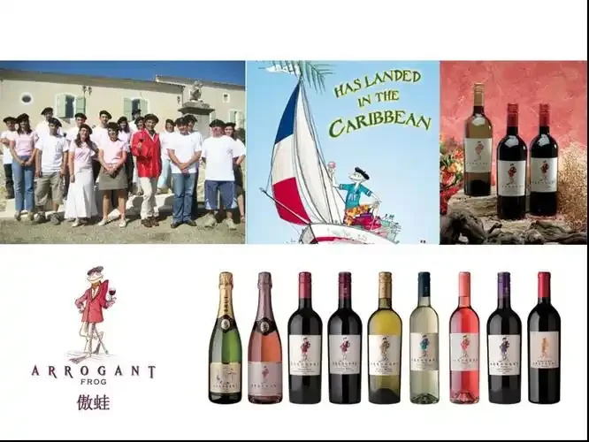 一瓶PaulEmpire酒和郁金香杯在吧台上的专业摄影图_1