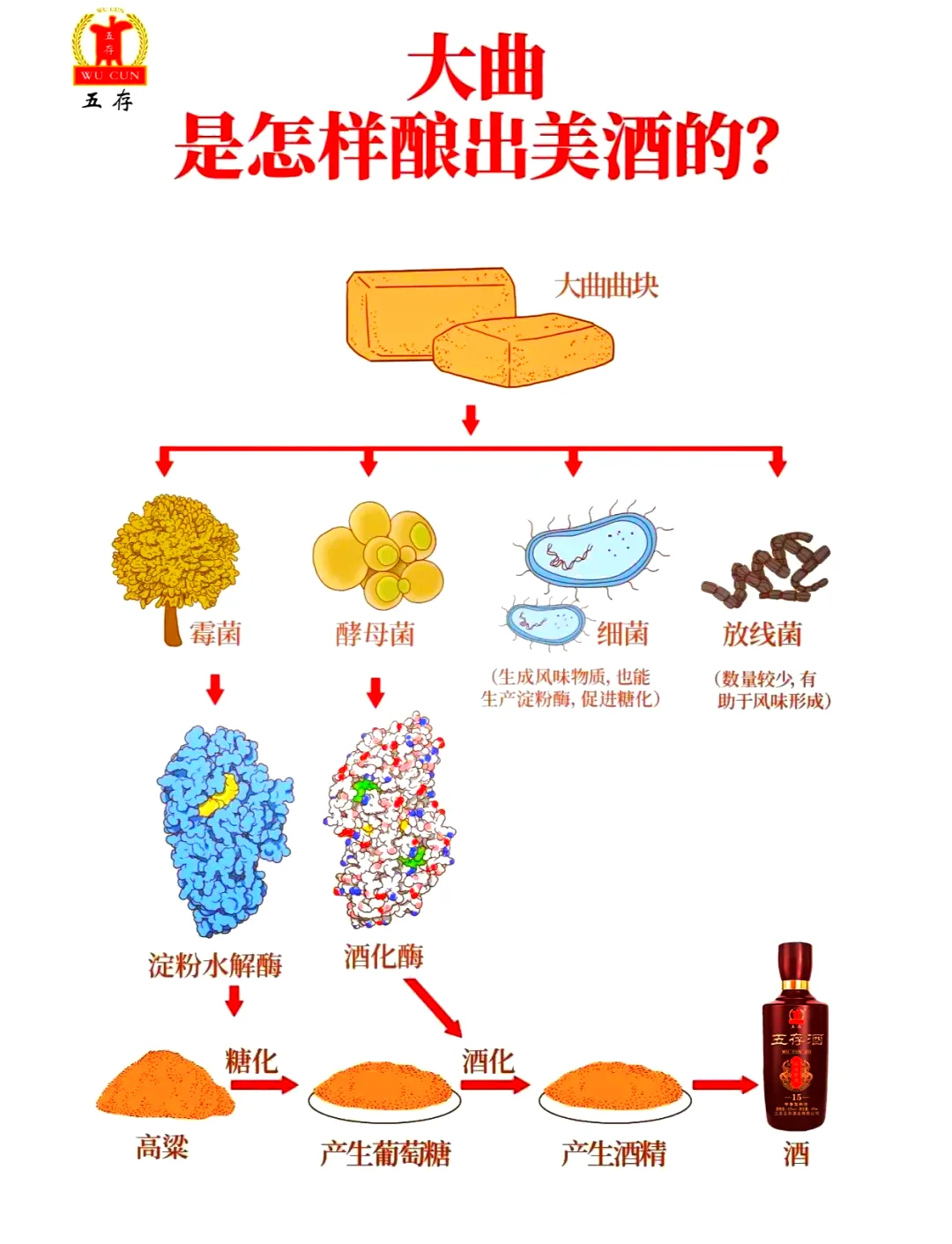 白酒三种发酵方式对比图：固态、半固态、液态发酵工艺实景展示_1