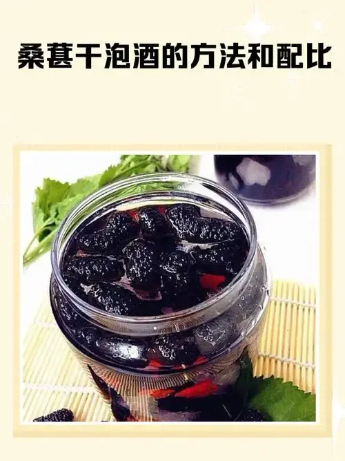 透明玻璃罐中深紫红色桑葚酒与桑葚干，旁边配有称和比例卡片，展示家庭自酿场景_1