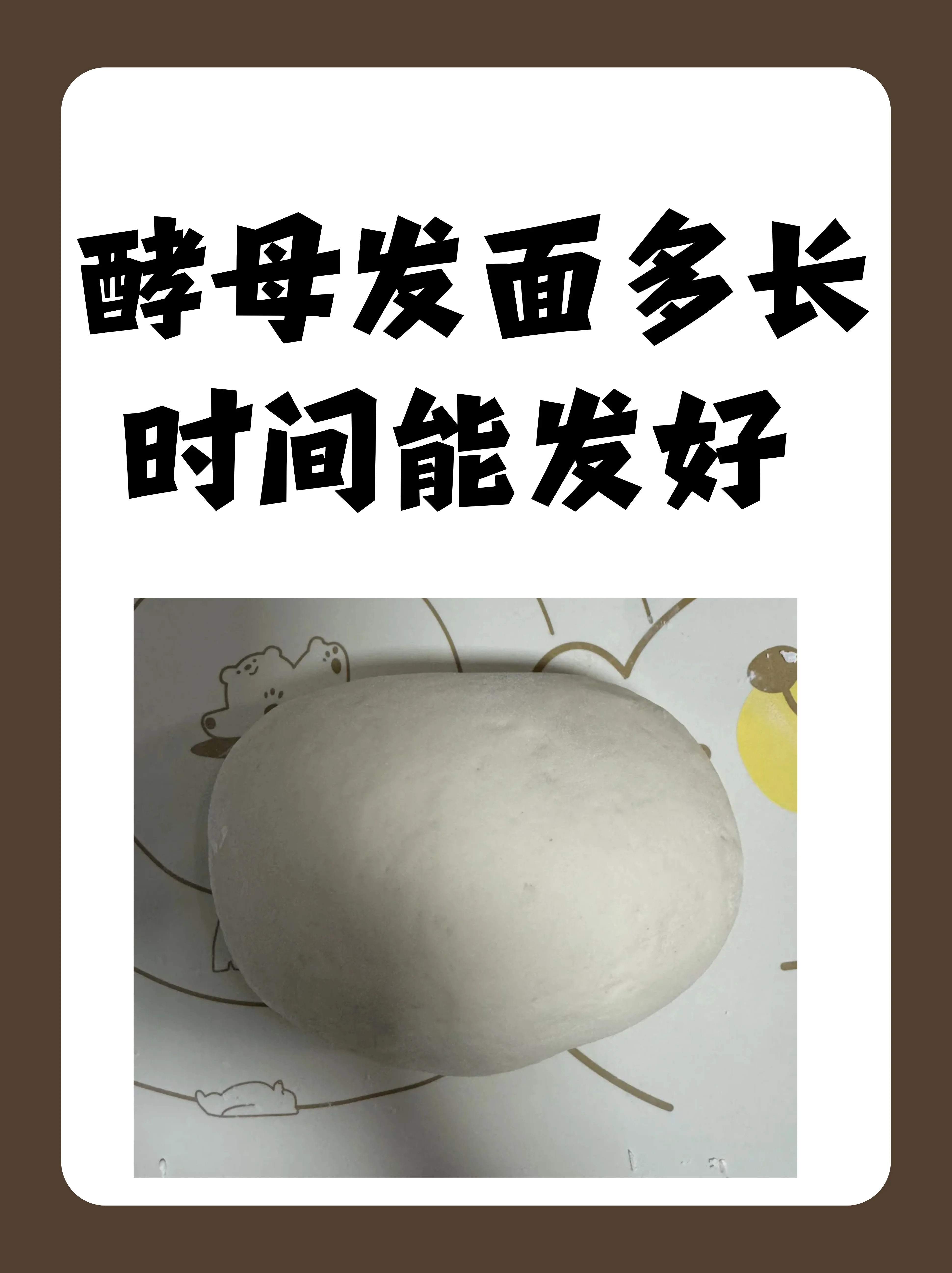 发面酵母与专业酿酒酵母在工作台上的对比展示，包括馒头和酵母粉，体现专业酿酒环境。_1