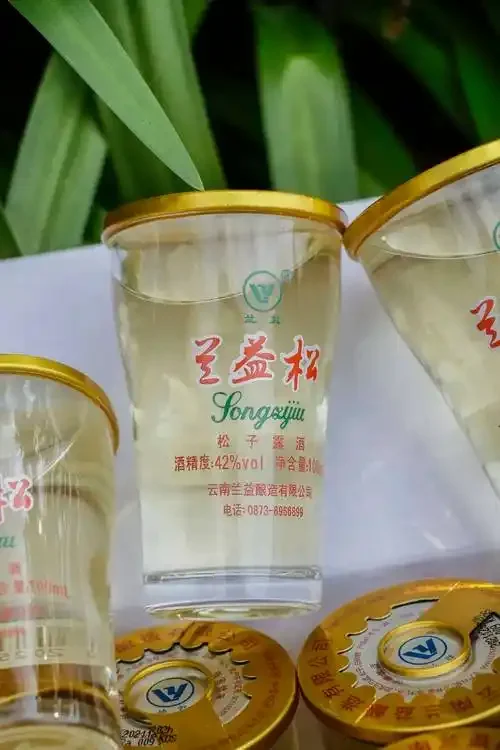 松子酒家庭酿造过程：透明玻璃发酵罐内松子与酒液正在发酵_1