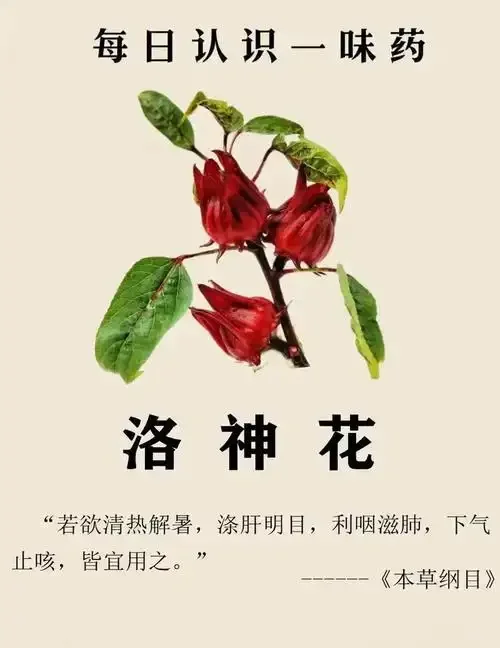 家庭自制红桃k泡酒过程展示：透明玻璃罐中分层放置洛神花干、冰糖和白酒，色彩诱人。_1