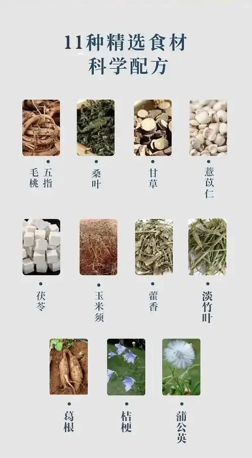 五指毛桃和黄芪浸泡在玻璃瓶中的琥珀色养生酒特写，展示家庭自制药酒的场景。_1