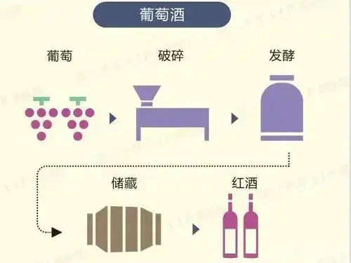 葡萄酒发酵过程实景：前景为装有发酵中葡萄醪的玻璃罐，中景为酿酒师在检查不锈钢发酵罐温度，背景为橡木桶酒窖。_1