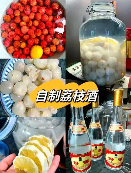 家庭酿造果子酒过程展示：玻璃发酵瓶中的红色莓果酒、新鲜水果、酵母和测量工具，体现自酿果酒的专业与乐趣。_1