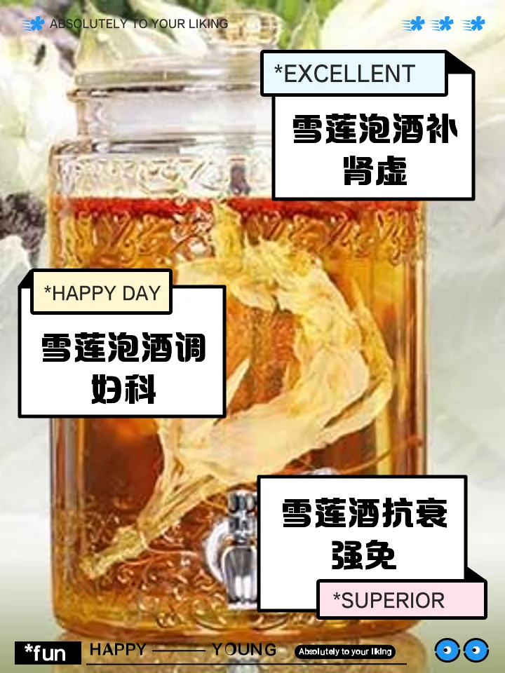 雪莲花泡酒过程展示：透明玻璃罐中，优质白酒浸泡着完整的雪莲花，酒液呈淡金色，画面干净专业。_1