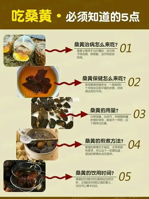 桑黄泡酒样品展示：琥珀色酒液中可见金色桑黄片与红色枸杞，展现传统养生酒的泡制状态。_1