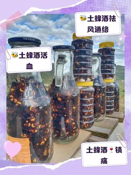 透明玻璃酒坛中泡制的土蜂酒特写，酒色金黄，土蜂清晰可见，旁边配有传统酿酒笔记。_1