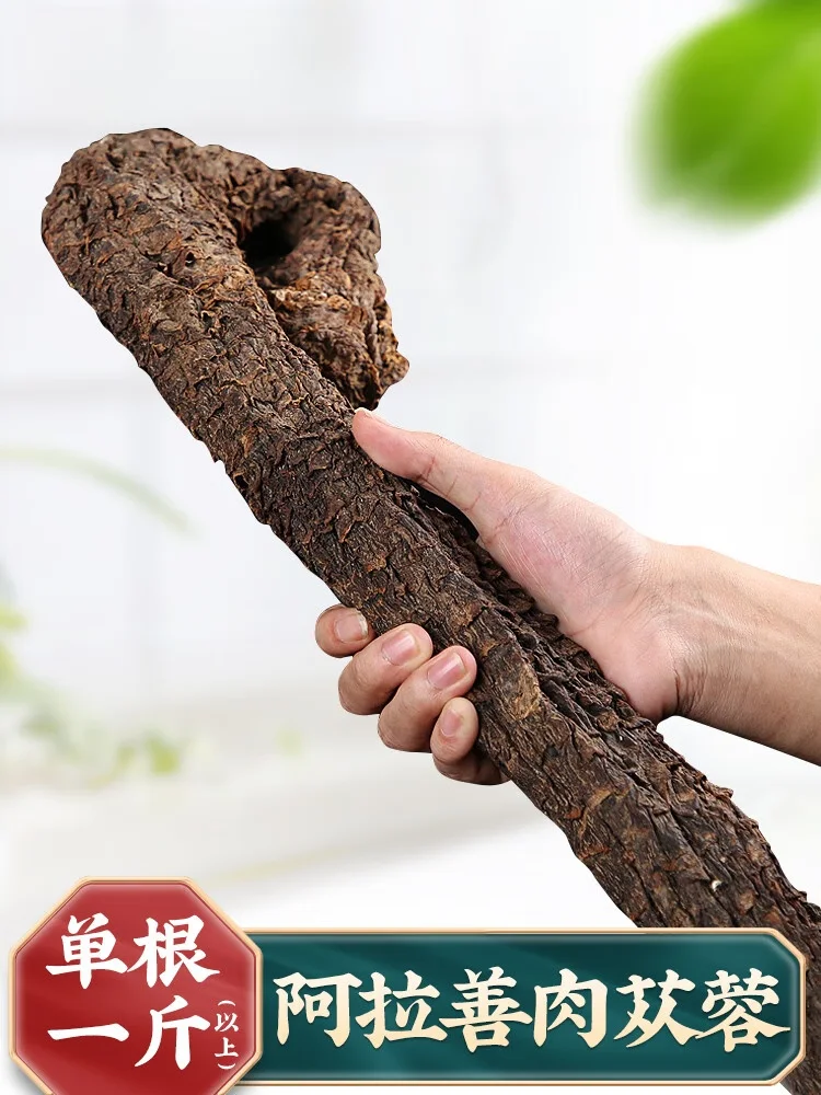 肉苁蓉和锁阳在琥珀色酒液中浸泡的特写，旁边配有枸杞和黄精，展示传统养生酒的泡制状态。_1