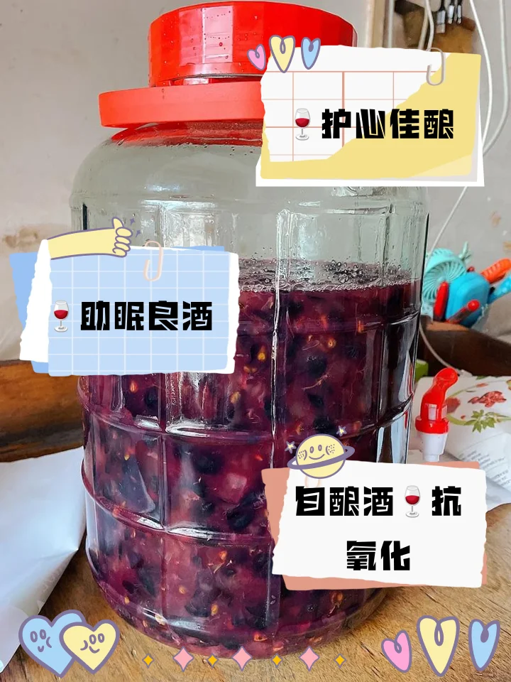 用于调整自酿葡萄酒甜度的工具组合：量筒、注射器、酵母粉和pH试纸_1