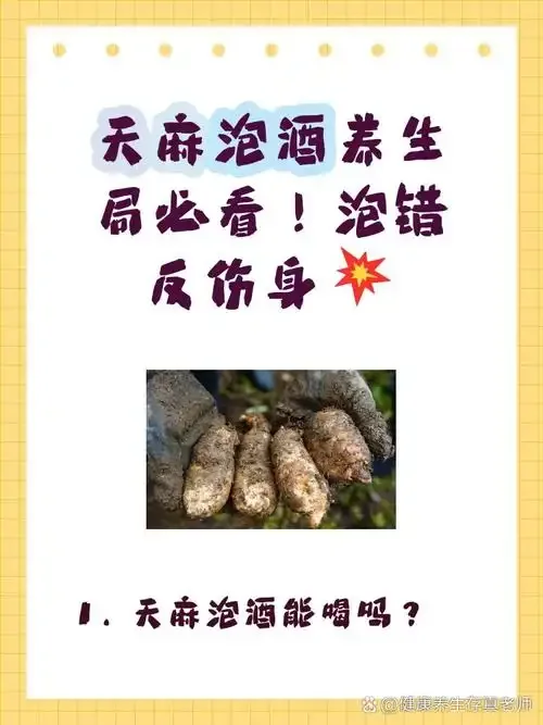 野天麻泡酒的成品展示：透明玻璃瓶中淡金色酒液浸泡着天麻切片和枸杞，旁边散落着新鲜的野天麻原料。_1