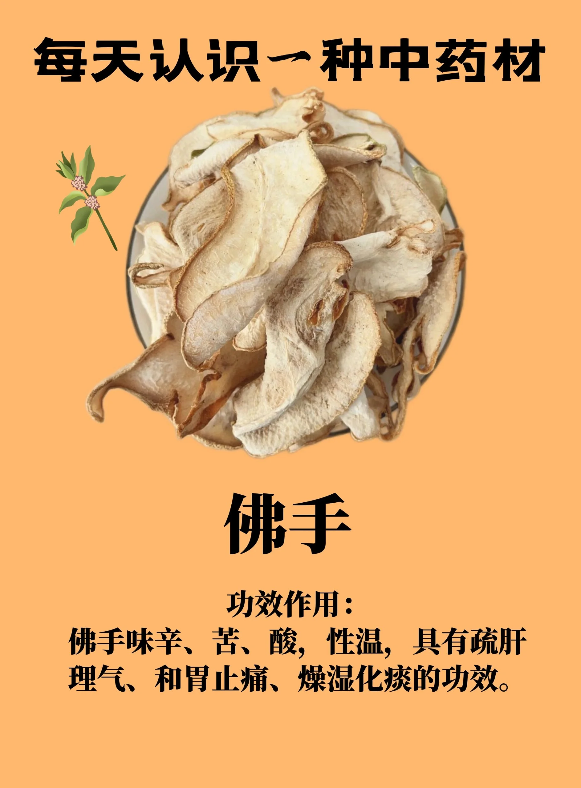 浸泡着金黄佛手切片的琥珀色佛手酒，旁边散落着完整佛手和枸杞，展示传统家庭泡酒场景_1