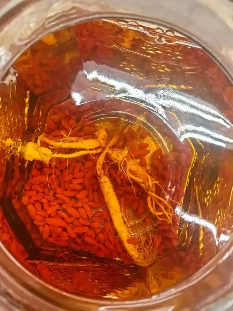 家庭自酿人参酒展示：透明酒坛中人参和辅料清晰可见，琥珀色酒液色泽诱人_1
