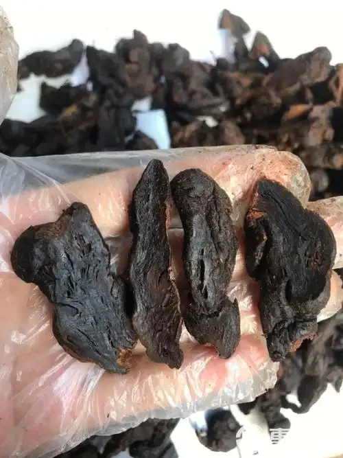 一个装有琥珀色黄精酒的玻璃罐特写，罐内可见饱满的深褐色黄精，旁边对比放置着生黄精与处理后的黄精，整体氛围温馨传统。_1