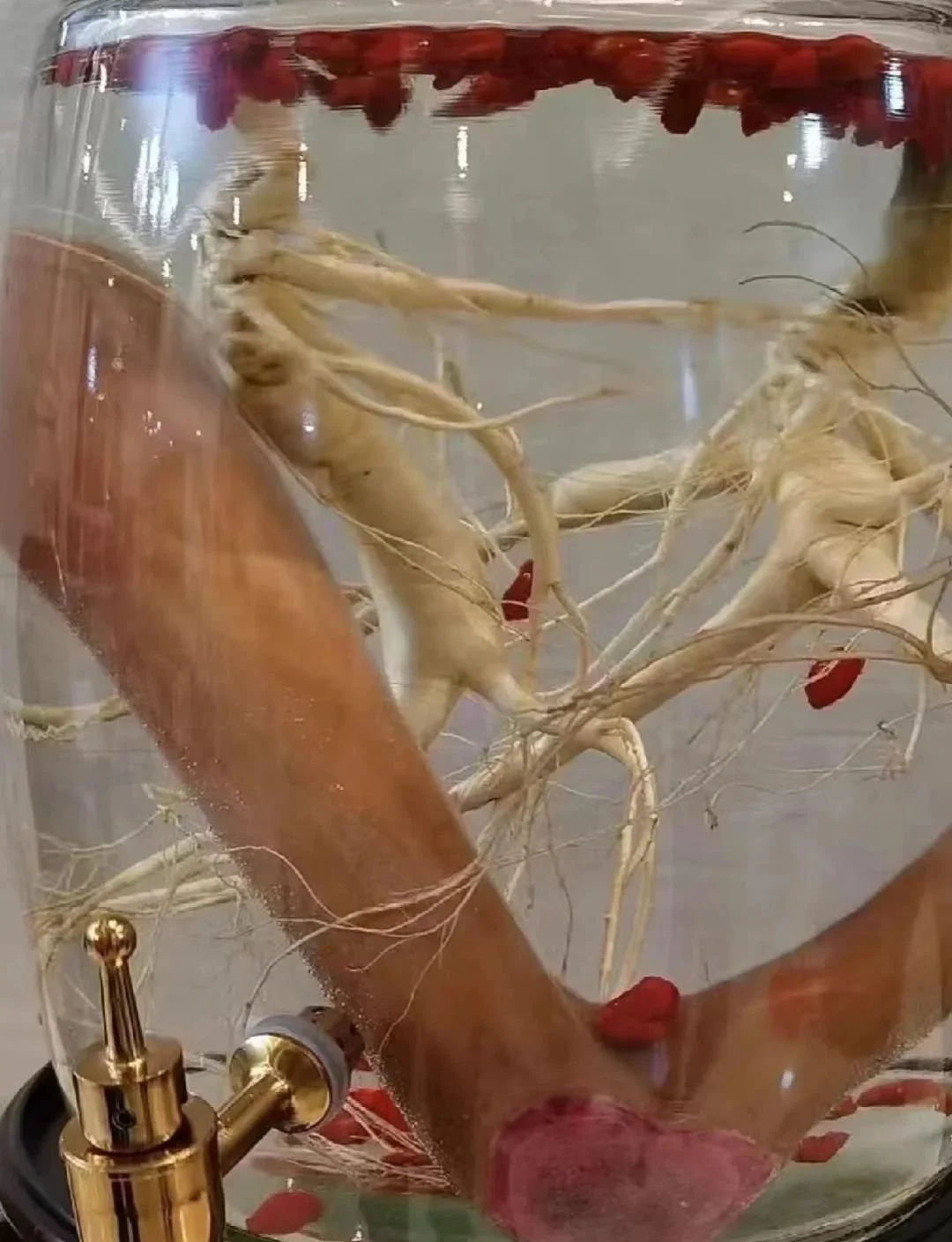 家庭泡鹿茸酒展示：透明玻璃罐中浸泡着整根鹿茸、枸杞和当归，酒液呈琥珀色。_1