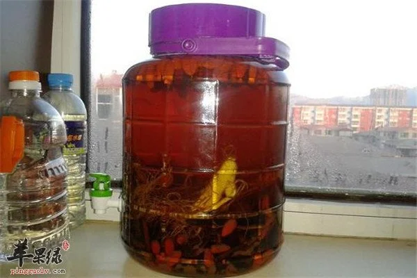 家庭自制灵芝人参泡酒：透明玻璃罐中人参灵芝与琥珀色酒液的特写_1
