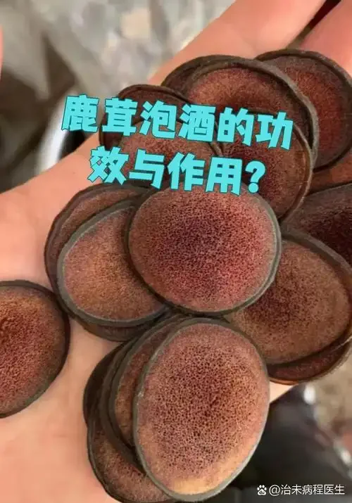 家庭自制的鹿茸冬虫夏草泡酒，酒液呈琥珀色，可见完整虫草与鹿茸切片_1