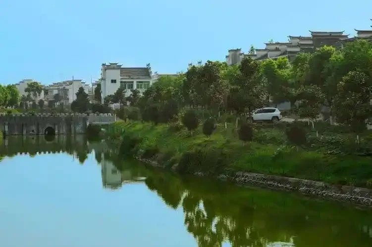 包河酒经典款与升级款对比，旁边摆放酿酒原料高粱和麦穗，展现价格与品质的关联_1