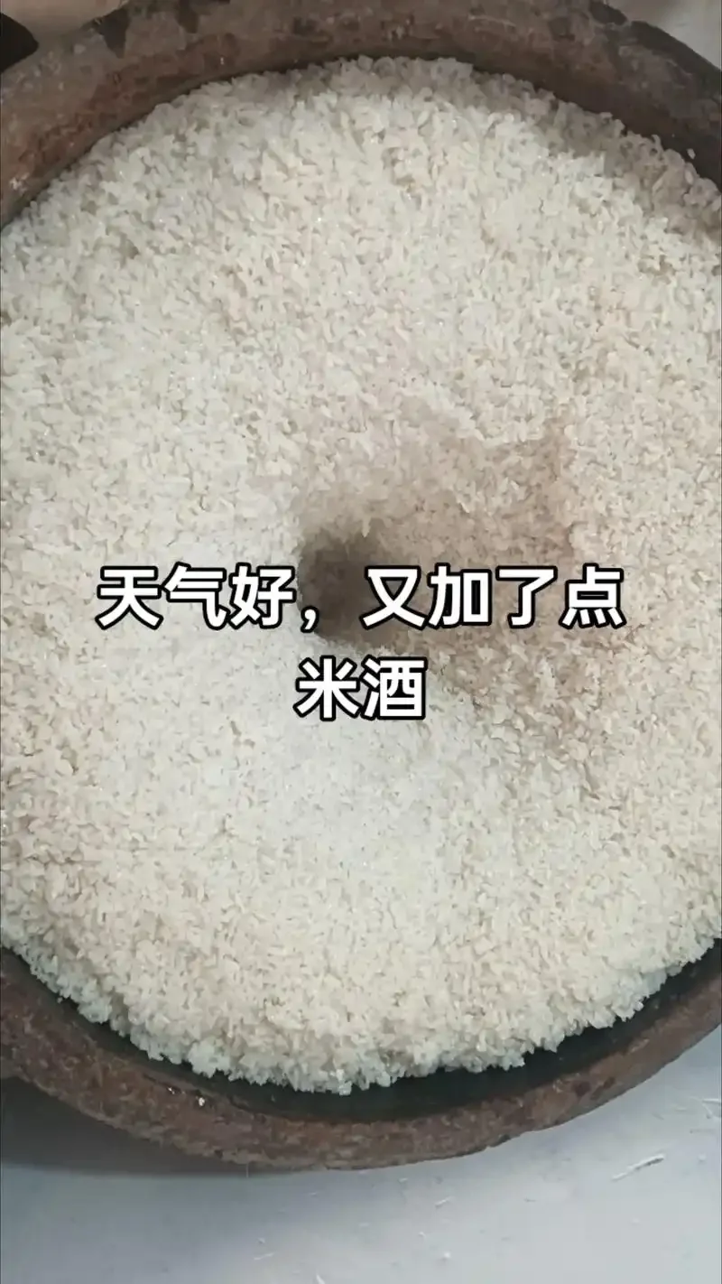 大米酿酒过程展示：从生米、蒸饭到发酵的步骤实物图_1