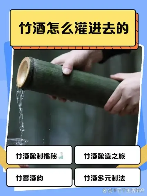 酿酒师在竹林中使用特制长针工具，向鲜活的青翠竹竿内灌注基酒的近景特写。_1