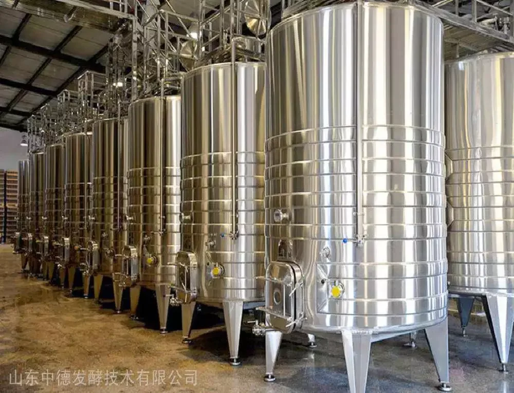 蓝莓酒发酵车间实景：透明发酵罐中深紫红色的蓝莓醪液正在发酵，背景是洁净的不锈钢设备。_1
