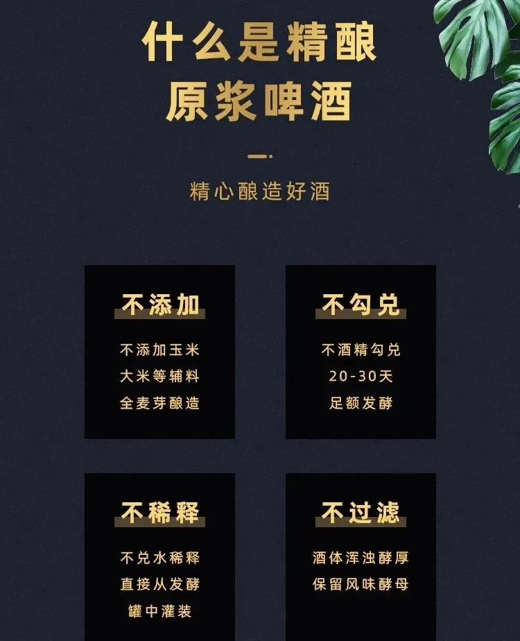 家庭精酿啤酒酿造过程：将煮沸后的麦汁转移至发酵桶_1