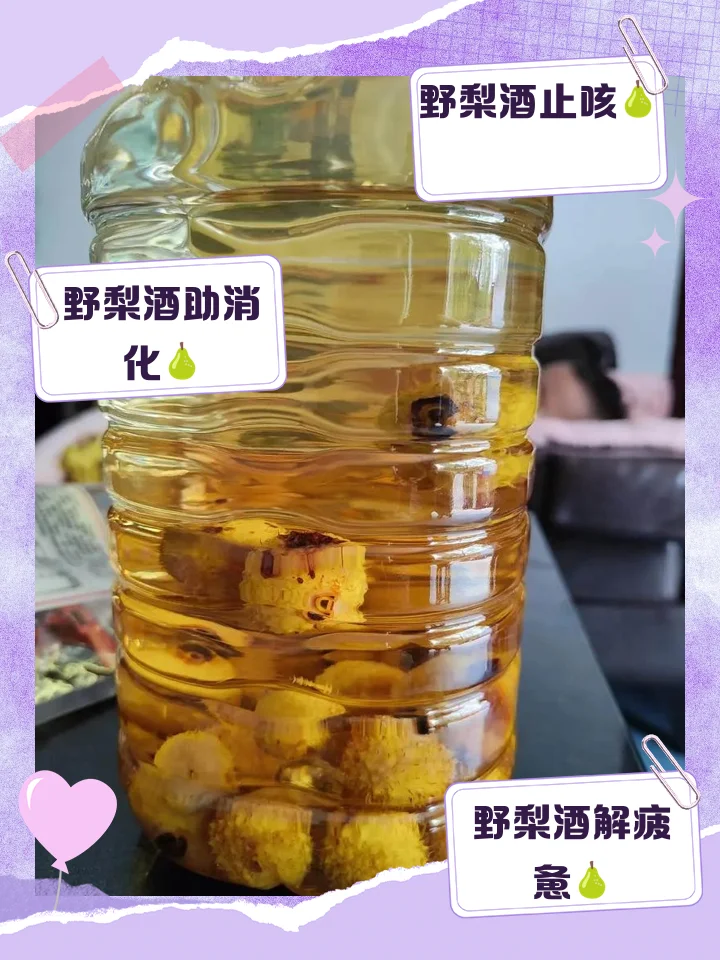 一坛正在浸泡中的鸡爪梨酒，金琥珀色的酒液中浸泡着深褐色的拐枣果实，展现了传统泡酒的过程。_1
