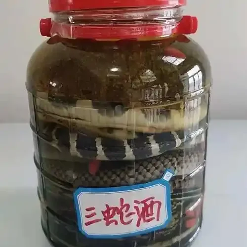 正在泡制的蛇酒特写：玻璃瓶中清晰可见蛇身与多种中药材，酒体呈琥珀色，展示了蛇酒泡制的传统工艺。_1