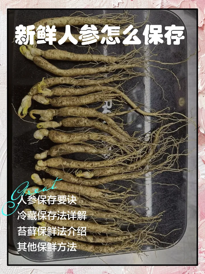 新鲜人参泡在透明玻璃酒罐中的特写，人参须根清晰，酒液呈琥珀色，旁边有枸杞和冰糖作为点缀。_1