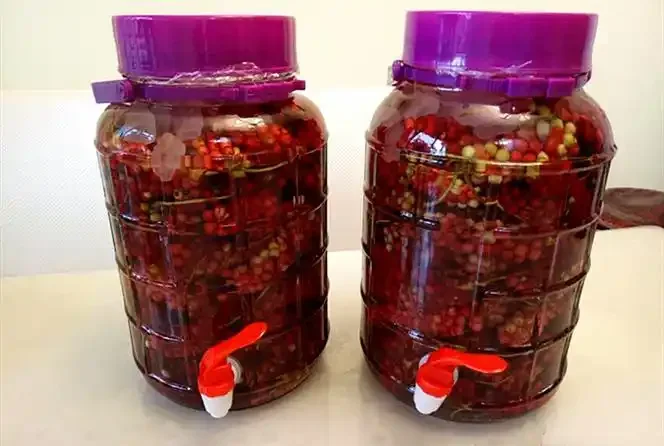 人参天麻五味子泡酒成品展示，瓶中可见清晰药材，酒色琥珀透亮_1