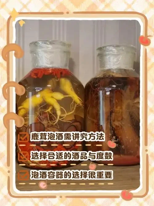 专业酿酒师展示正在浸泡中的新鲜鹿茸酒，以及处理前后的鹿茸对比。_1