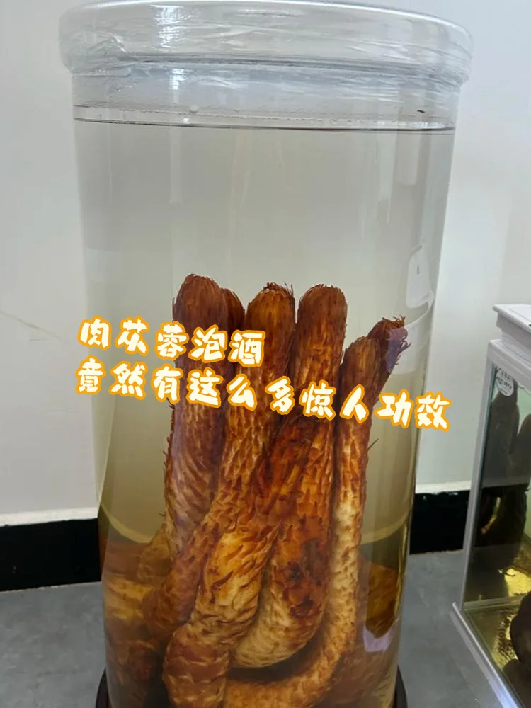 传统玻璃罐中浸泡的苁蓉养生酒特写，展示优质苁蓉切片与枸杞在琥珀色酒液中的状态_1