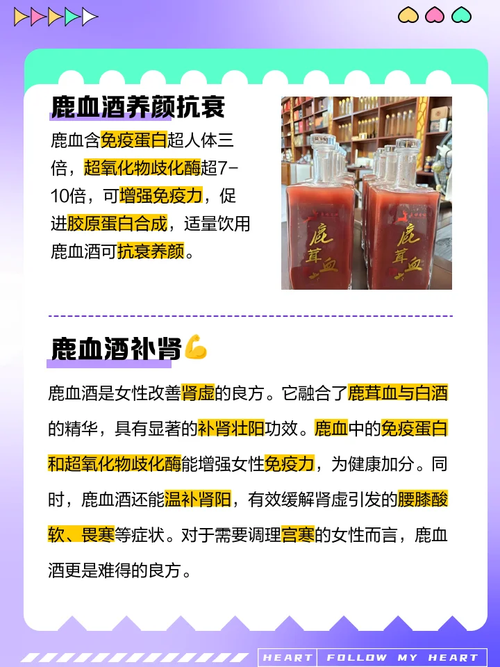 家庭自制的鹿血药酒特写，深红色酒液中浸泡着人参和枸杞，装在透明玻璃罐中，背景是酿酒工作台。_1