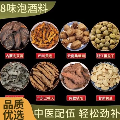 巴戟天与肉苁蓉、枸杞、人参在玻璃罐中泡酒的静物特写，展示经典养生药酒配方。_1