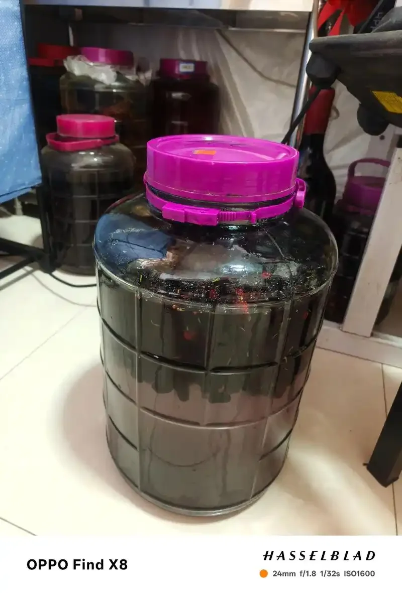 家庭自制桑椹酒泡制过程特写：玻璃罐中新鲜桑椹与冰糖的完美比例_1