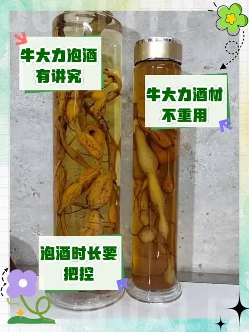 牛大力与黄芪浸泡在透明玻璃酒罐中的特写照片，酒液呈琥珀色，药材清晰可见。_1