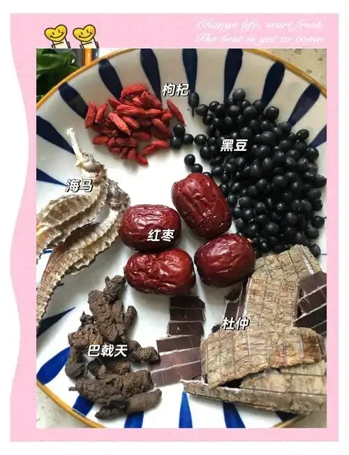 一罐正在浸泡的壮腰补肾药酒，可见人参、枸杞、肉苁蓉等多种药材，由南楼山酿酒技术网推荐配方。_1