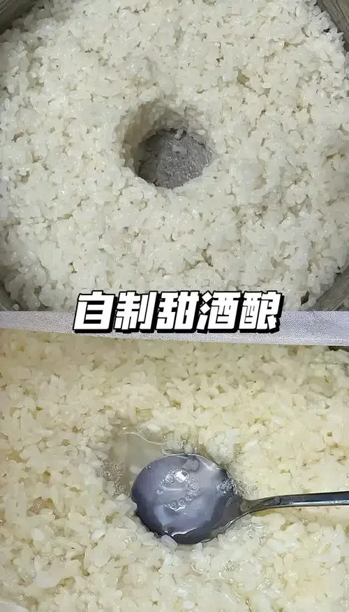 夏天家庭自制米酒发酵过程特写，玻璃罐中糯米与酒液清晰可见_1