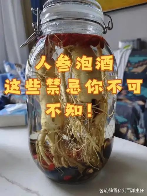 人参枸杞泡酒材料特写：透明玻璃罐中人参和枸杞浸泡在琥珀色酒液中，旁边摆放鹿茸、桂圆、黄芪等搭配药材，体现传统养生药酒的配制场景。_1