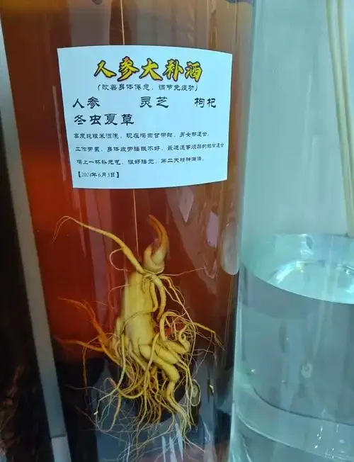 人参山楂泡酒的成品展示，玻璃瓶内可见人参和山楂浸泡在琥珀色酒液中。_1