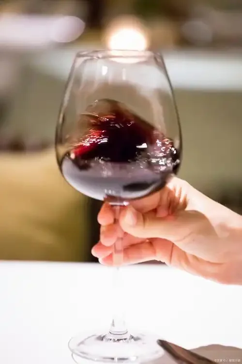 专业品酒师示范如何正确持握红酒杯，手指轻捏杯脚，姿态优雅_1
