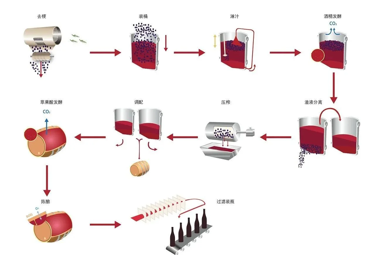 酿酒师正在进行红葡萄的破碎工序，准备开始发酵_1