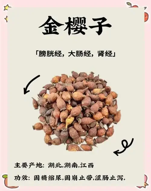 巴戟天和金樱子浸泡在玻璃罐药酒中的特写图片，展示经典泡酒配方材料_1