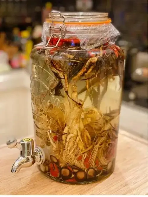 酿酒师工作台上展示的补肾泡酒常用材料与工具：人参、鹿茸、枸杞、肉苁蓉、巴戟天、玻璃罐和纯粮白酒。_1