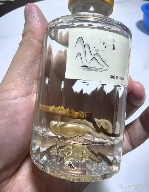 泡酒补肾药材实拍：玻璃瓶中浸泡着枸杞、桑葚、肉苁蓉和锁阳等中药材_1