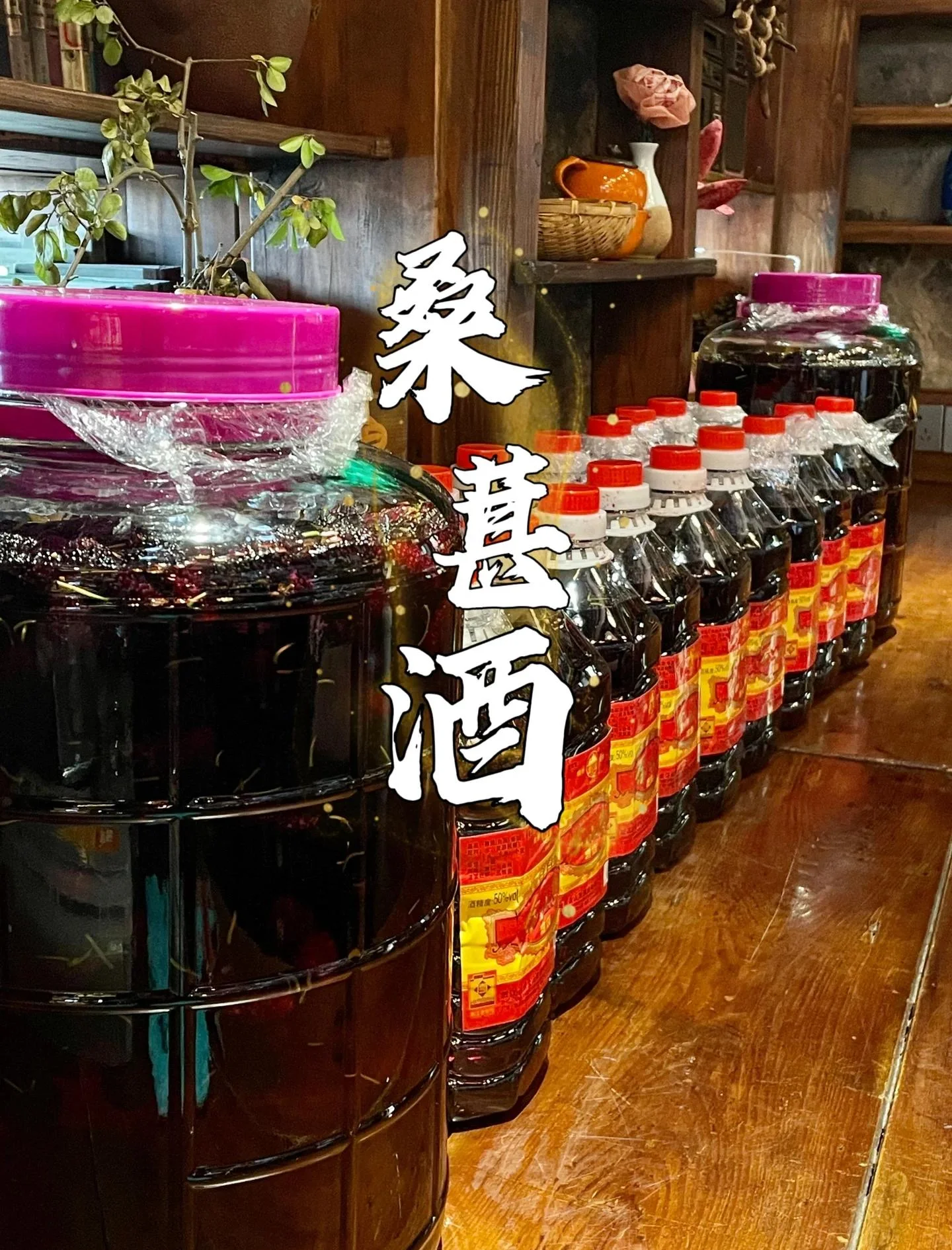 新鲜桑葚与正在发酵的桑葚酒玻璃罐特写_1