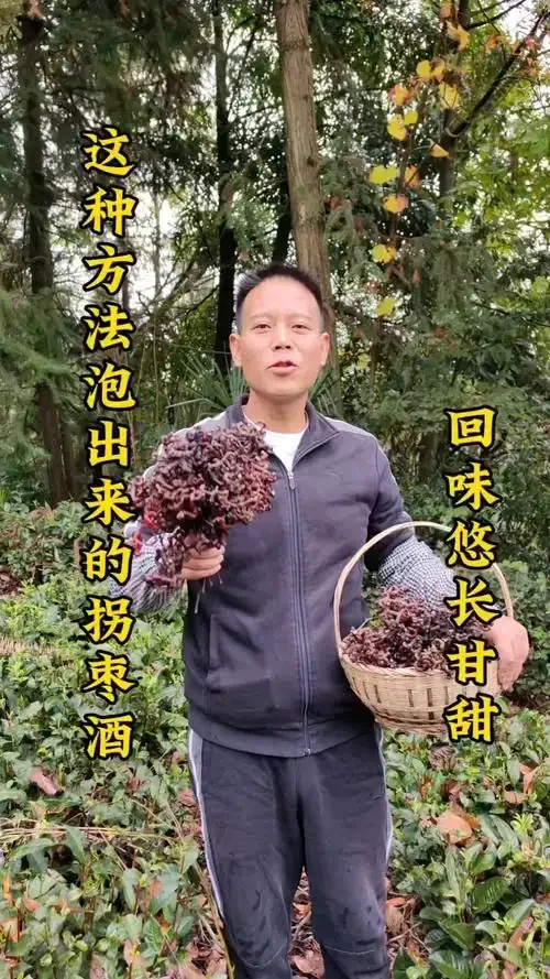 自制拐枣酒特写：玻璃罐中金黄色的酒液与拐枣、枸杞清晰可见_1